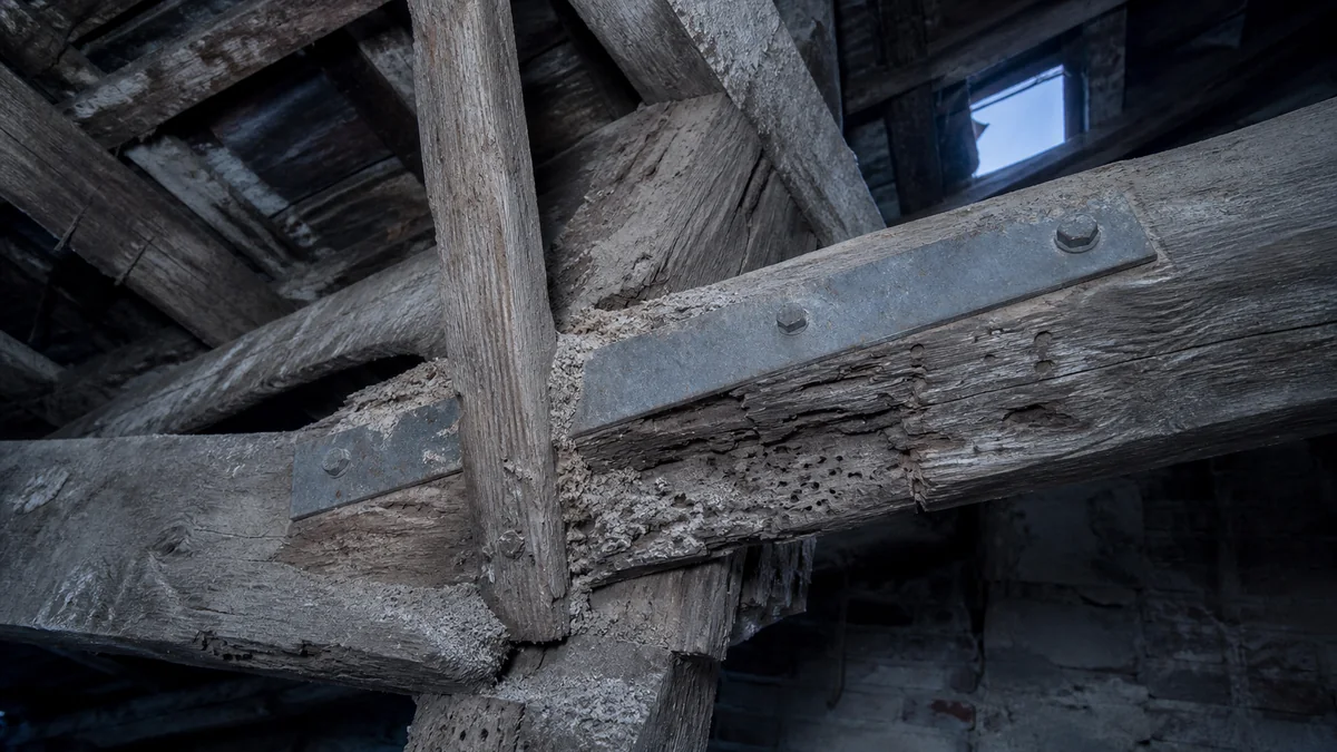 Vue en contre-plongée dans le comble d'une maison ancienne : poutres de charpente en chêne creusées de galeries d'insectes xylophages, vermoulure au droit des assemblages et chevron renforcé par une plaque métallique boulonnée, sans aucune personne