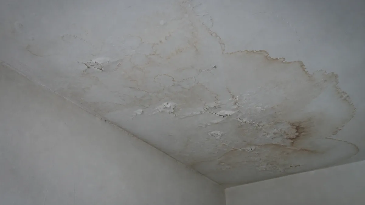 Plafond intérieur d'une maison avec tache d'humidité brune étendue, peinture cloquée et écaillée suite à un dégât des eaux, lumière froide et naturelle