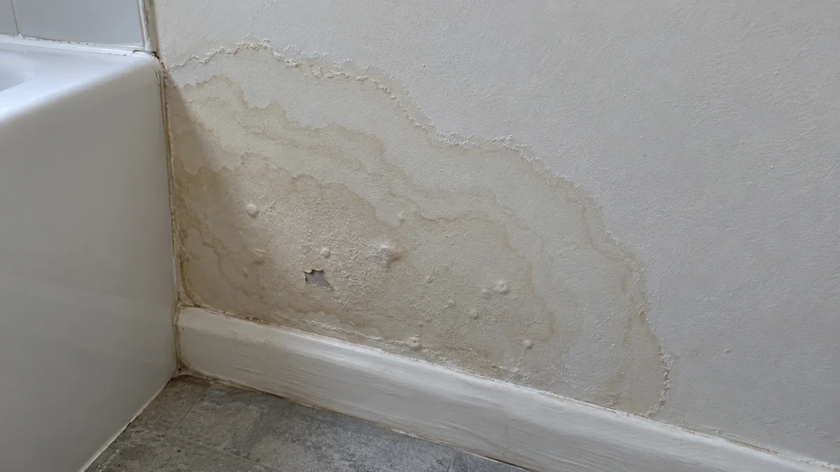 Mur peint à côté d'une baignoire blanche, au-dessus d'une plinthe : une large tache jaunâtre formée de plusieurs auréoles emboîtées aux contours irréguliers, avec quelques cloques dans la peinture et un petit éclat écaillé