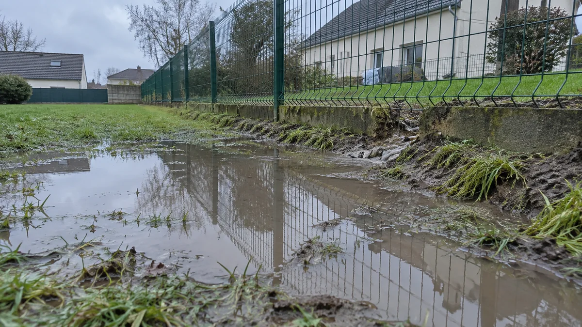 Bas de jardin détrempé et eau stagnante le long d'une clôture séparant deux terrains en pente