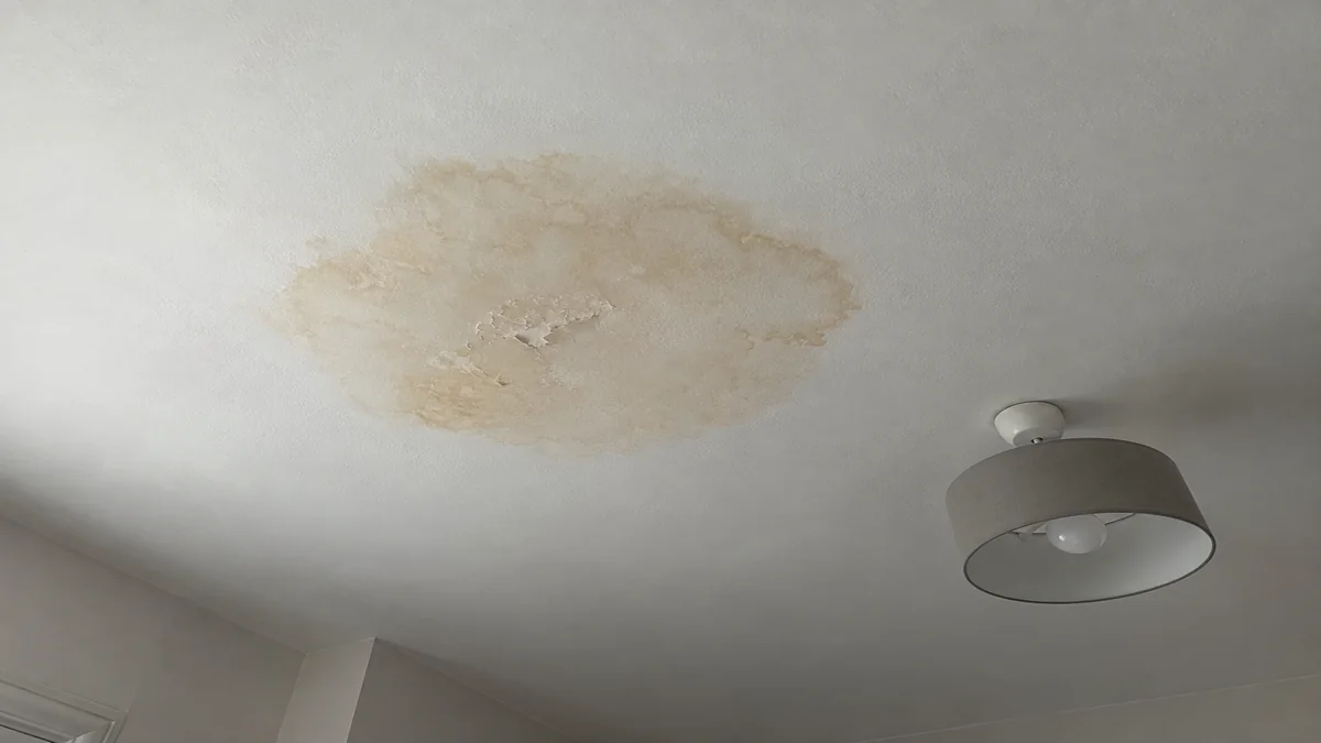 Tache d'humidité brunâtre sur un plafond en plâtre, peinture légèrement boursouflée autour de la zone touchée