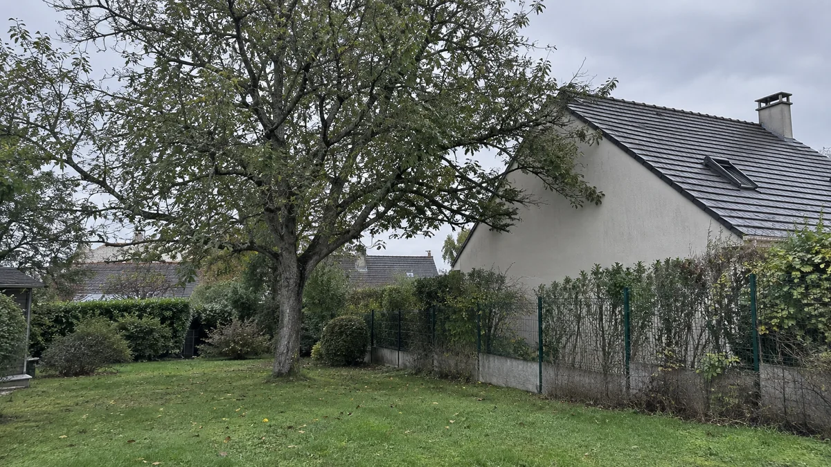 Grand arbre adulte dominant le pignon d'un pavillon de banlieue, vu depuis le fond du jardin voisin