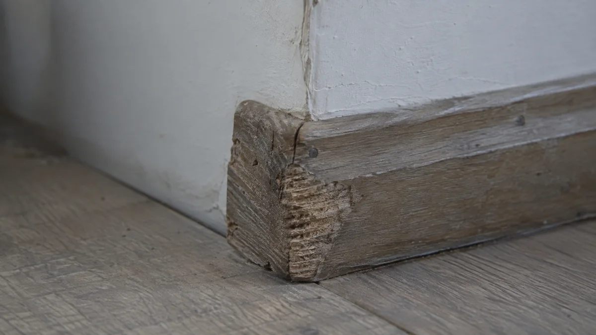 Coin d'une plinthe en bois montrant un ancien rongement grisé par le temps, avec des sillons de dents visibles