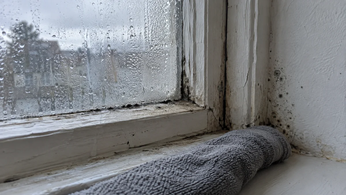 Gros plan d'une vieille fenêtre en bois à simple vitrage couverte de condensation, appui gonflé et points de moisissure noirs dans l'angle du mur, serviette grise posée pour absorber l'eau