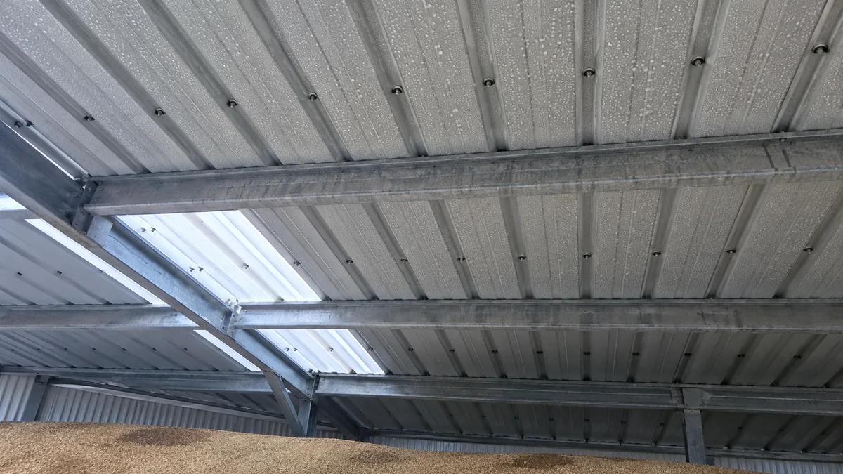 Sous-face d'une couverture en bac acier d'un hangar agricole, perlée de gouttes de condensation, au-dessus d'un tas de grain