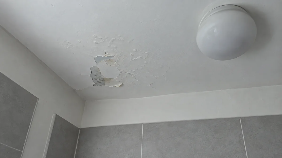 Plafond de salle de bains repeint présentant des cloques et un écaillage laissant voir l'ancienne peinture et le plâtre