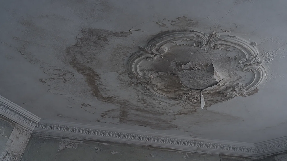 Plafond d'une chambre parisienne marqué d'une large auréole d'infiltration, peinture cloquée et écaillée autour d'une rosace de plâtre