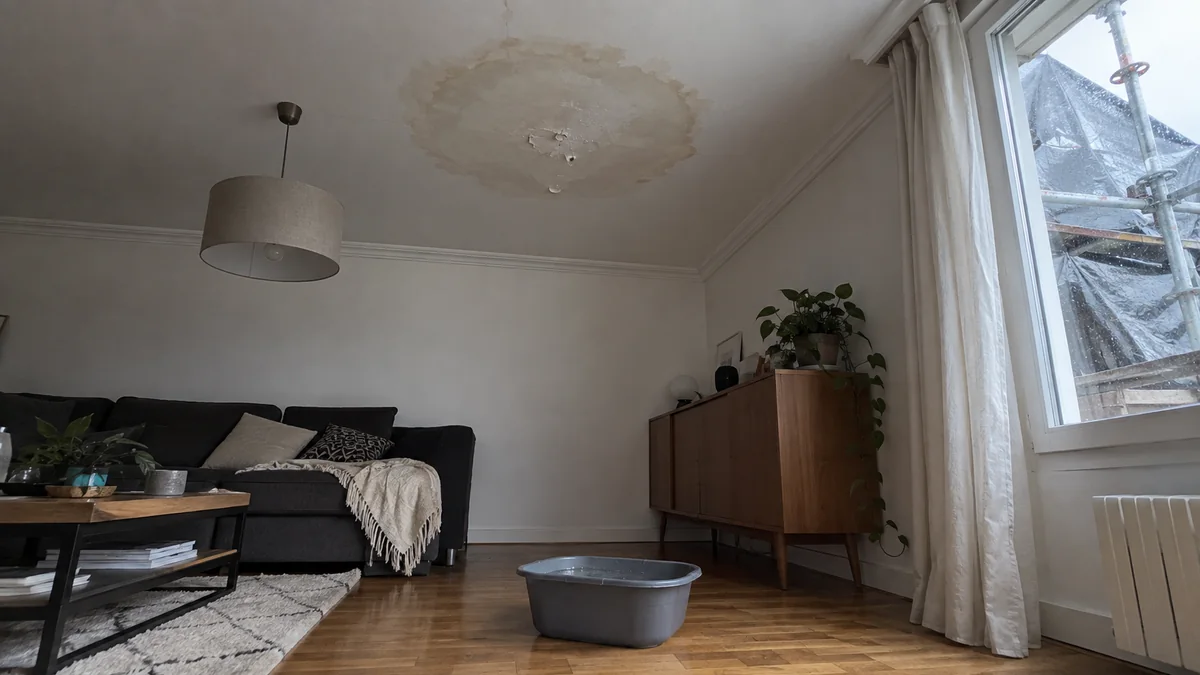 Plafond du séjour d'un appartement au dernier étage marqué d'une large auréole d'eau beige dont la peinture cloque en son centre, une bassine grise posée sur le parquet en dessous, et par la fenêtre une bâche plastique et un tube d'échafaudage mouillés sur la terrasse