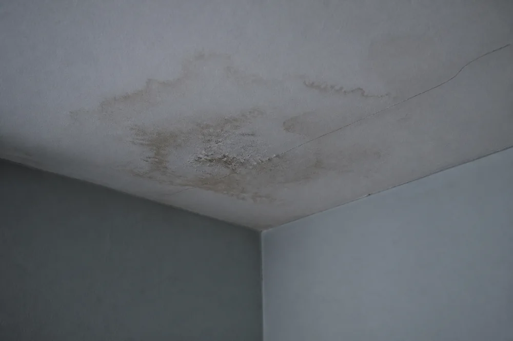 Auréole d'infiltration et fissure sur un plafond, dans l'angle d'une pièce