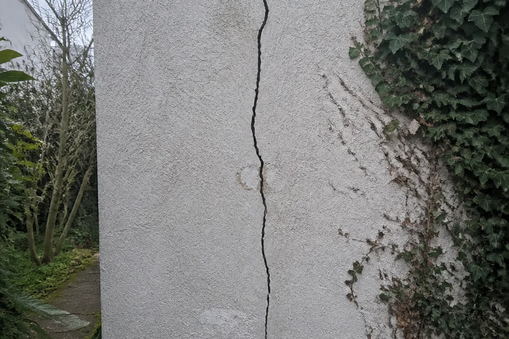 Fissure verticale sur un mur mitoyen en pierre partiellement recouvert de lierre, dans un jardin pavillonnais