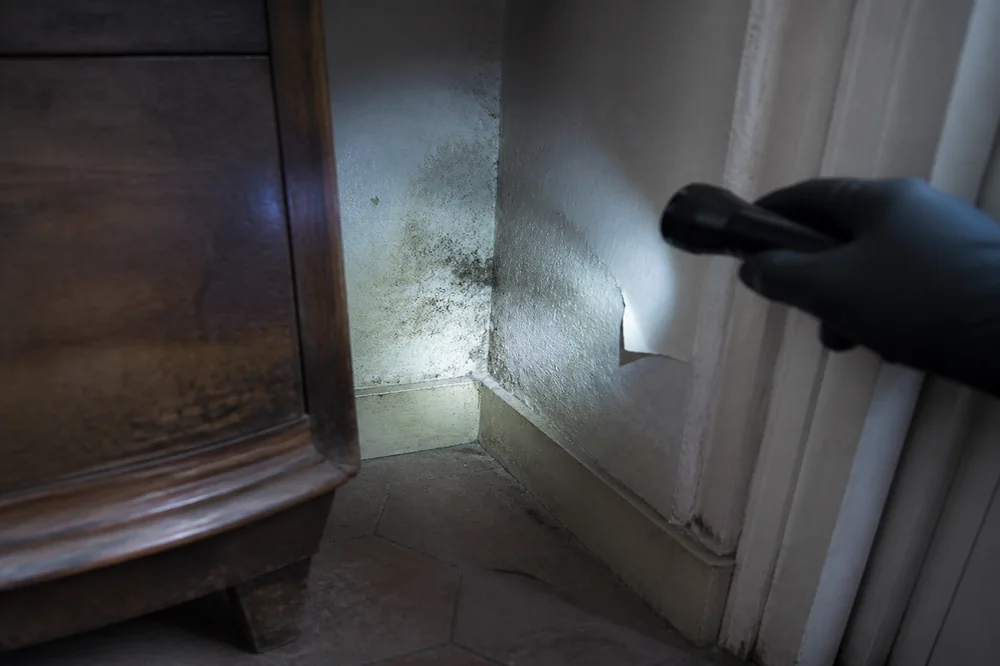 Lampe torche tenue par une main gantée éclairant une tache d'humidité et de moisissure derrière un meuble écarté du mur